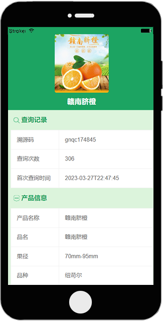 中药饮片溯源模板